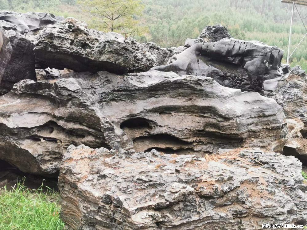 风景石、假山石大量有货,有需要的欢迎联系 - 新手上路 - 定州生活社区 - 定州28生活网 dingzhou.28life.com