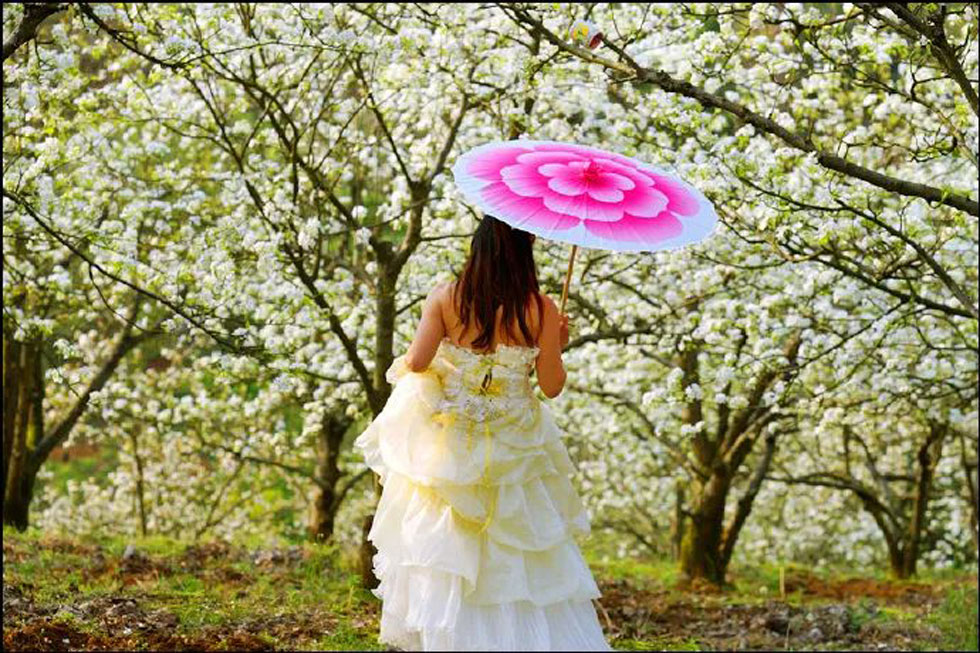 【春天,广西桂林灌阳县向您发出邀请!】我们在灌阳看梨花 - 游山玩水 - 定州生活社区 - 定州28生活网 dingzhou.28life.com