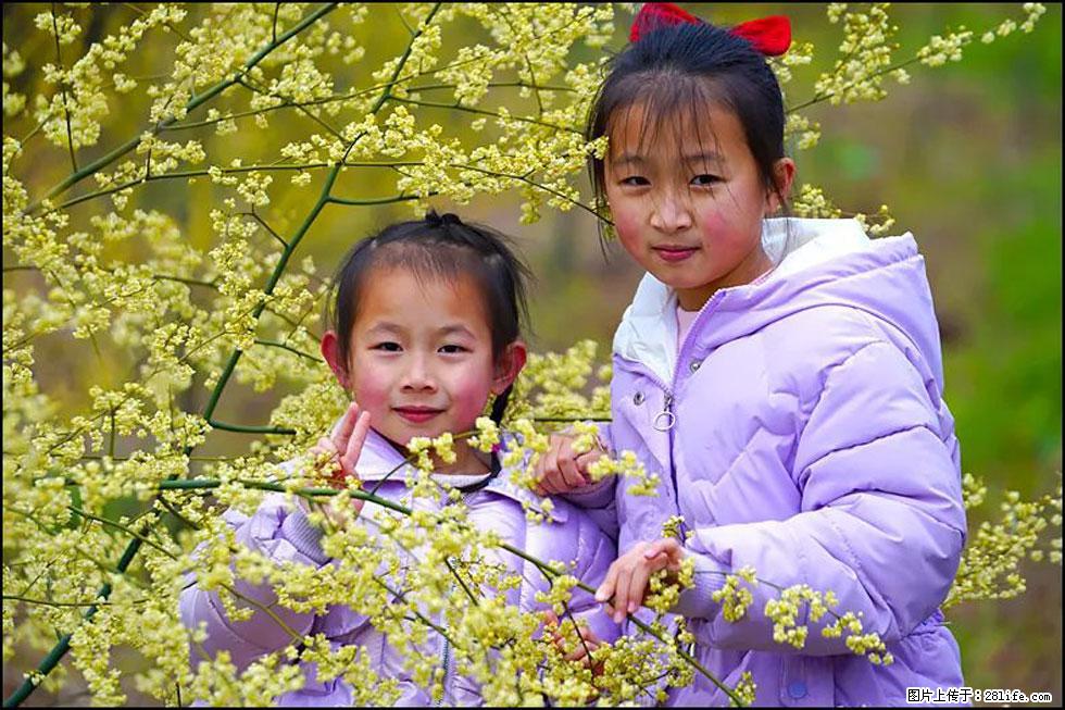 【春天,广西桂林灌阳县向您发出邀请!】米珠山前有片山苍子花在飘香 - 游山玩水 - 定州生活社区 - 定州28生活网 dingzhou.28life.com
