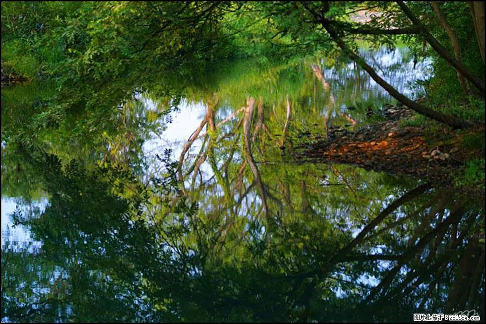 【春天,广西桂林灌阳县向您发出邀请!】熊家寨湿地公园 - 游山玩水 - 定州生活社区 - 定州28生活网 dingzhou.28life.com