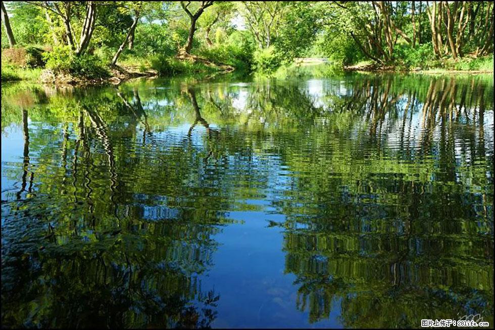 【春天,广西桂林灌阳县向您发出邀请!】熊家寨湿地公园 - 游山玩水 - 定州生活社区 - 定州28生活网 dingzhou.28life.com