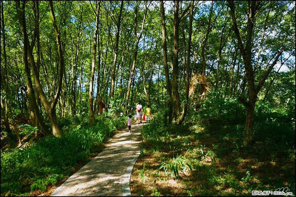 【春天,广西桂林灌阳县向您发出邀请!】熊家寨湿地公园 - 游山玩水 - 定州生活社区 - 定州28生活网 dingzhou.28life.com