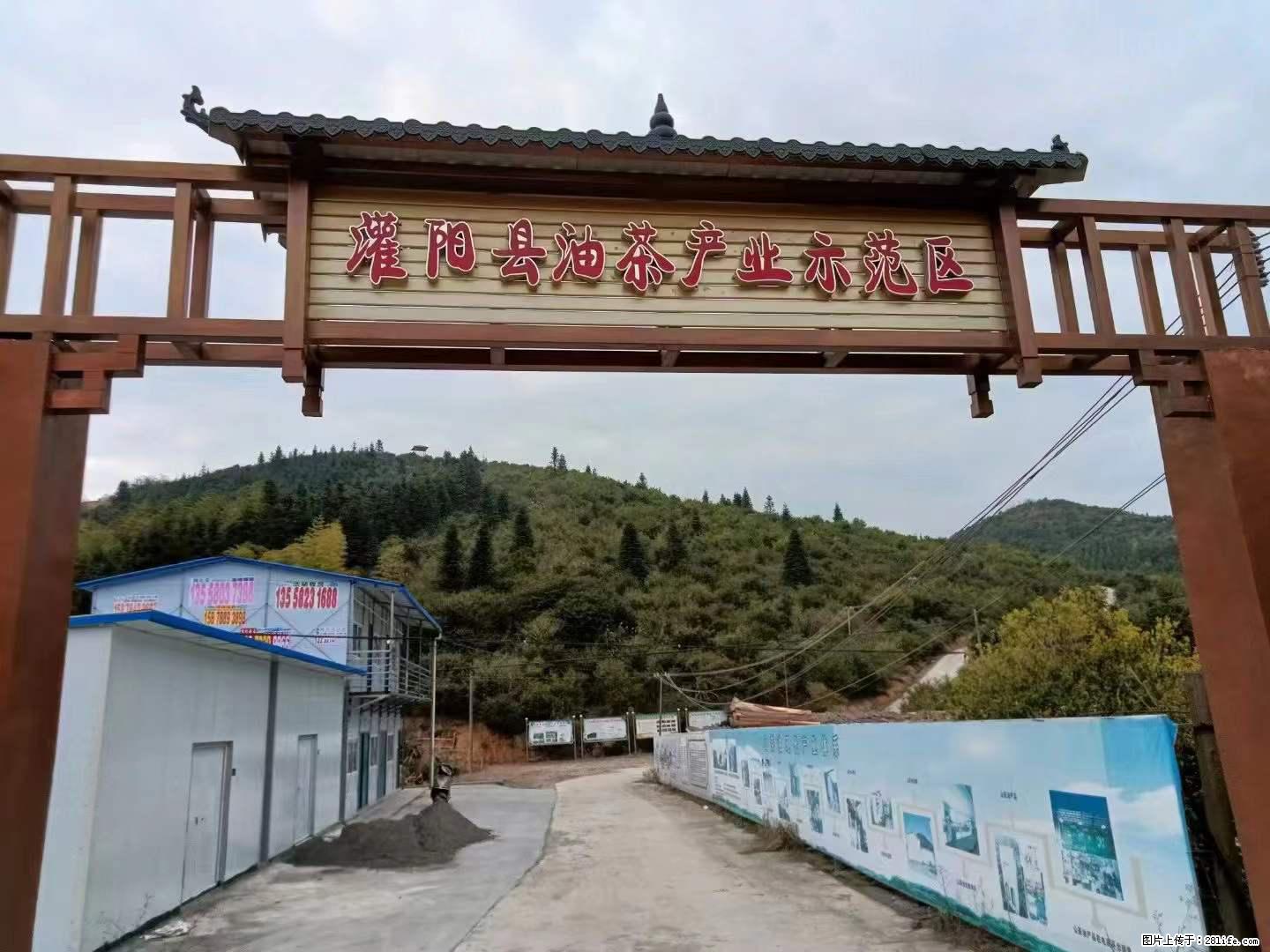 【灌阳县油茶产业示范区】一个有着充实的精神生活的人,对待身外之物自会有一种淡泊的态度 - 美食天地 - 定州生活社区 - 定州28生活网 dingzhou.28life.com