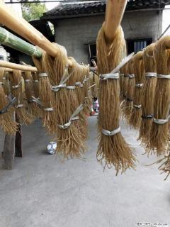 【灌阳正宗红薯粉】美女家里自己做的,干净卫生,假一赔十,价格合理,抢购电话:13737312895 - 定州28生活网 dingzhou.28life.com