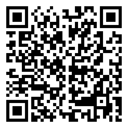 移动端二维码 - 华为手机Mate30 如何开启开发者选项？ - 定州生活社区 - 定州28生活网 dingzhou.28life.com