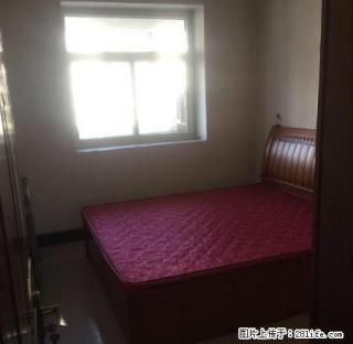 凤翔园精装干净舒适紧邻二中实验中学 - 定州28生活网 dingzhou.28life.com