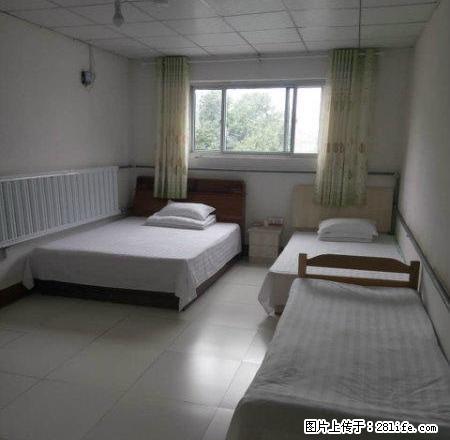 一室一居 市政供暖 不用交水电暖气网费 江苏饭店旁 可停车 - 房屋出租 - 房屋租售 - 定州分类信息 - 定州28生活网 dingzhou.28life.com