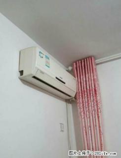 紫锦园 紫竹园 经典2室 家具家电齐全 拎包入住 温馨2室 - 定州28生活网 dingzhou.28life.com