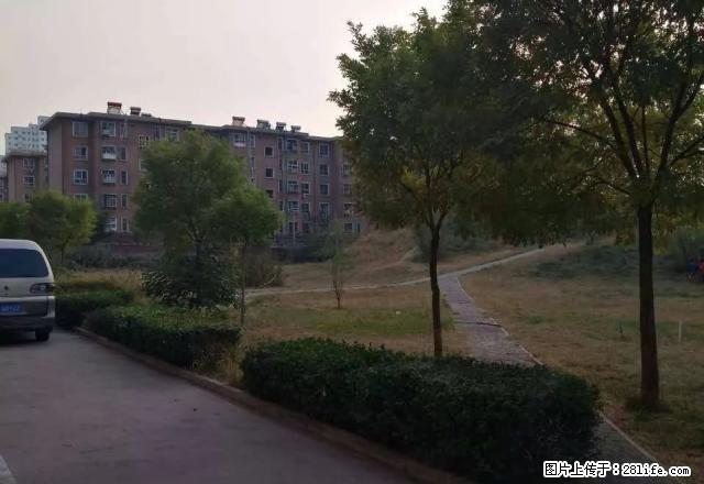 小区环境优美,离火车站很近,交通方便 - 房屋出租 - 房屋租售 - 定州分类信息 - 定州28生活网 dingzhou.28life.com