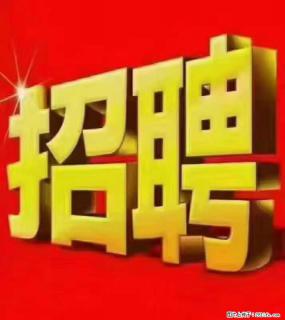 【东莞市威萨电子科技有限公司】公司直招:外贸业务、仓管员、跟单文员、普工 - 定州28生活网 dingzhou.28life.com