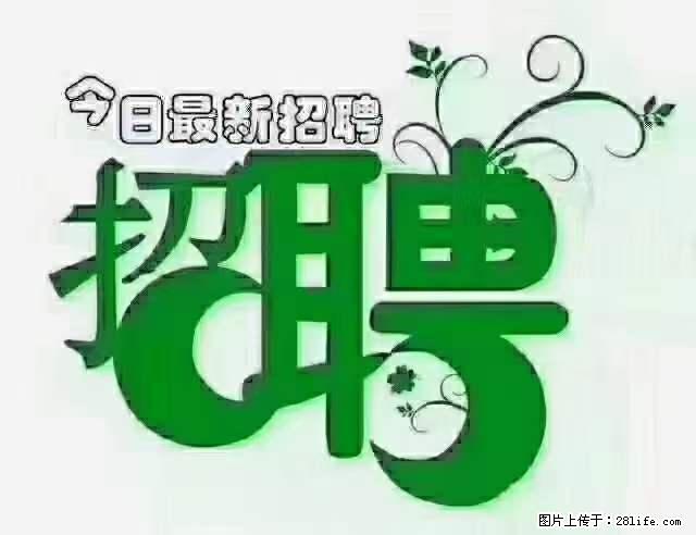 上海青浦区招仓管 - 职场交流 - 定州生活社区 - 定州28生活网 dingzhou.28life.com