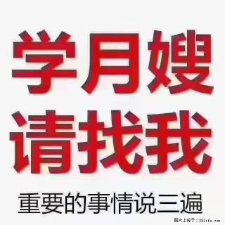 【招聘】月嫂，上海徐汇区 - 定州28生活网 dingzhou.28life.com