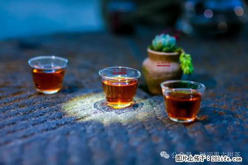 时间果百年古树2025年春红茶 - 购物交流 - 定州生活社区 - 定州28生活网 dingzhou.28life.com