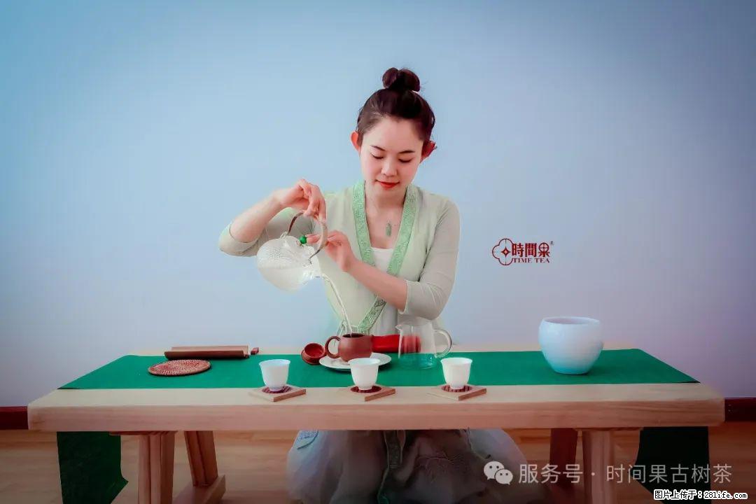 时间果百年古树龙珠普洱生茶 - 购物交流 - 定州生活社区 - 定州28生活网 dingzhou.28life.com