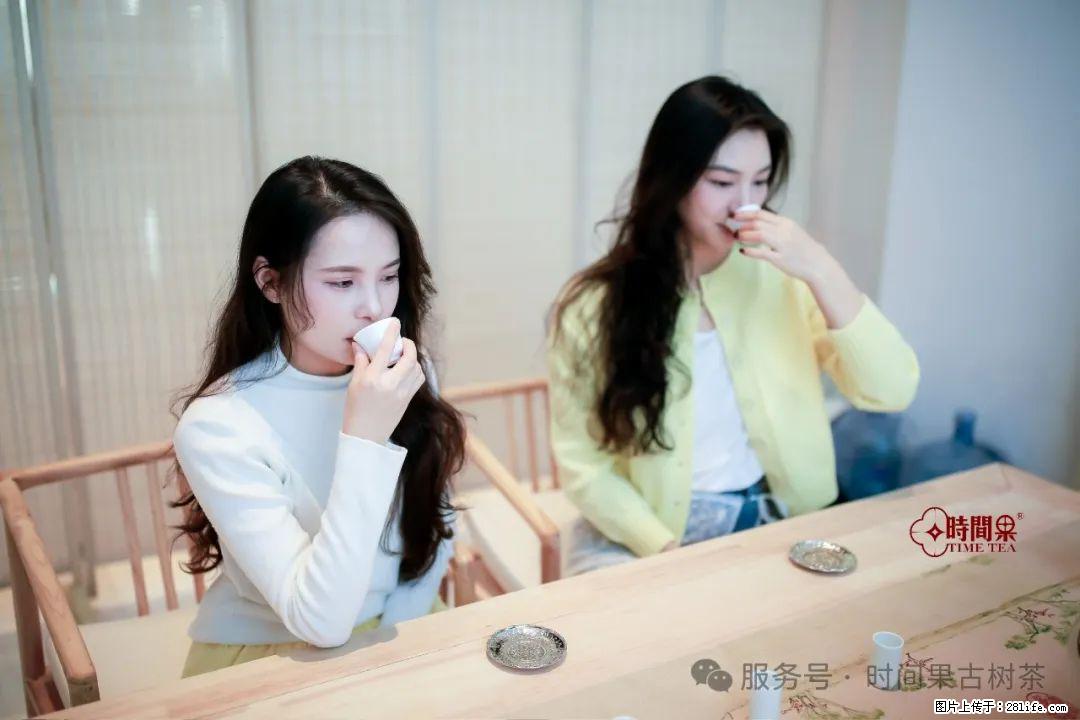 时间果百年古树龙珠普洱生茶 - 购物交流 - 定州生活社区 - 定州28生活网 dingzhou.28life.com