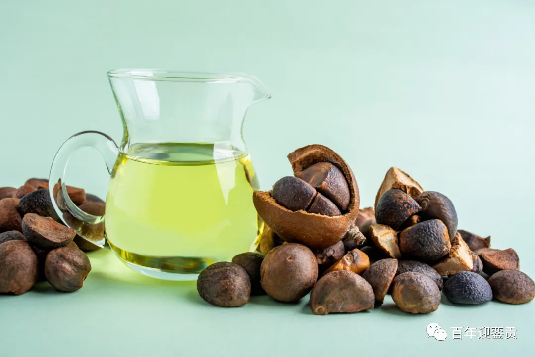 世界没有真相，只有认知，最好的食用油是中国的山茶油！ - 定州生活资讯 - 定州28生活网 dingzhou.28life.com
