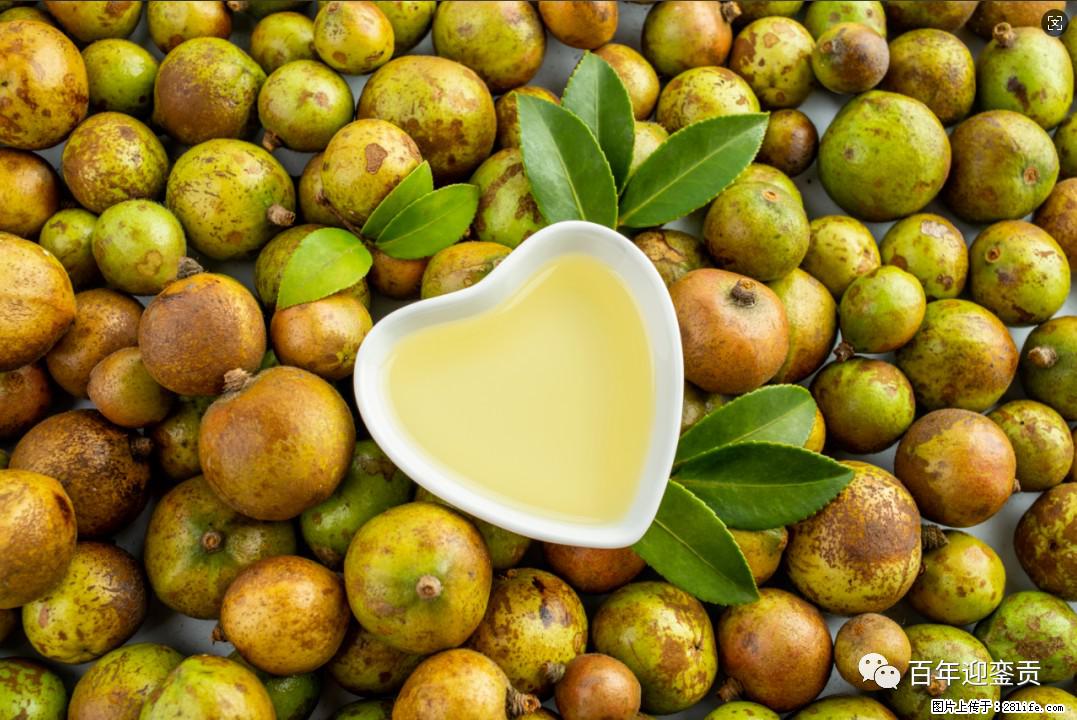 世界没有真相，只有认知，最好的食用油是中国的山茶油！ - 定州生活资讯 - 定州28生活网 dingzhou.28life.com