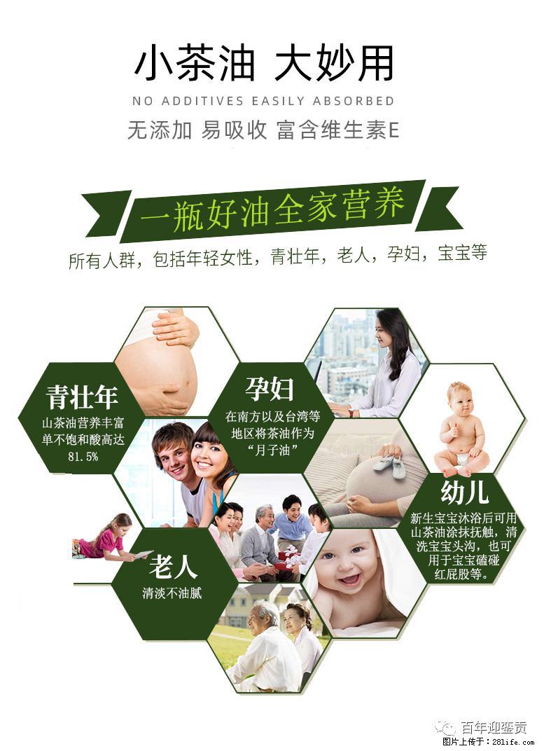 世界没有真相，只有认知，最好的食用油是中国的山茶油！ - 定州生活资讯 - 定州28生活网 dingzhou.28life.com