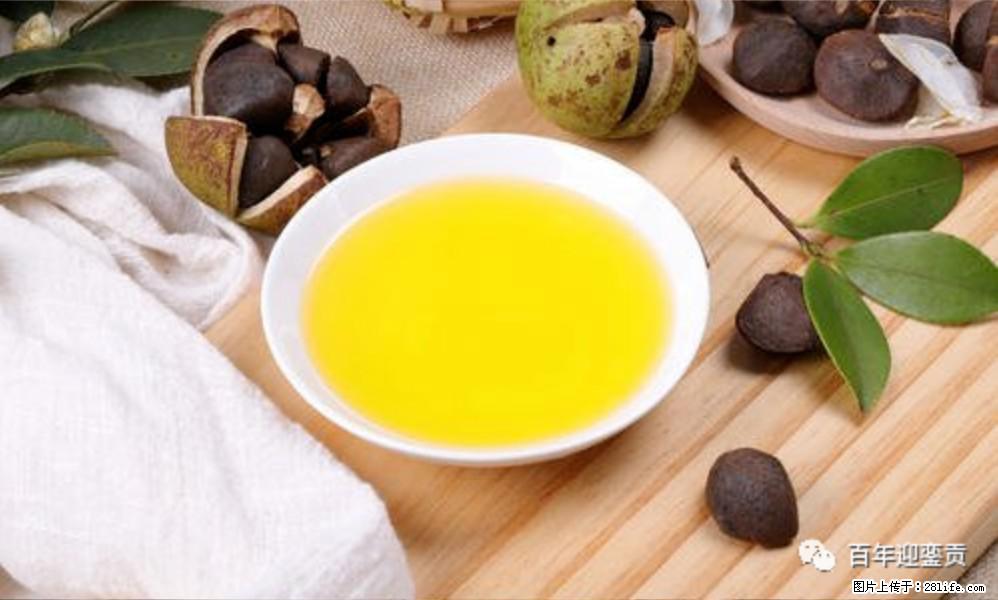 世界没有真相，只有认知，最好的食用油是中国的山茶油！ - 定州生活资讯 - 定州28生活网 dingzhou.28life.com