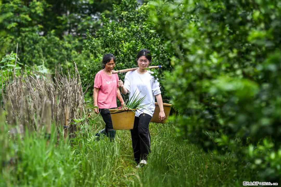 全网追的“扁担女孩”，找了一份暑假工，时薪12元 - 定州生活资讯 - 定州28生活网 dingzhou.28life.com