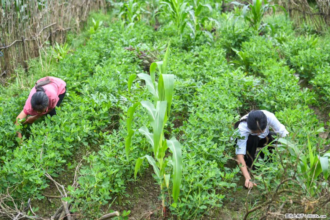 全网追的“扁担女孩”，找了一份暑假工，时薪12元 - 定州生活资讯 - 定州28生活网 dingzhou.28life.com