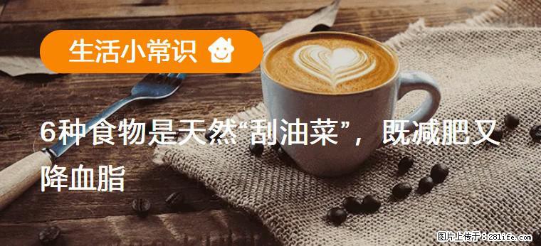 【生活小常识】6种食物是天然“刮油菜”,既减肥又降血脂 - 定州生活资讯 - 定州28生活网 dingzhou.28life.com