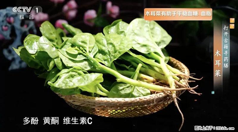 比牛奶补钙还厉害!凉血解毒、稳血糖...这菜冬天必吃,很多人却当草 - 定州生活资讯 - 定州28生活网 dingzhou.28life.com