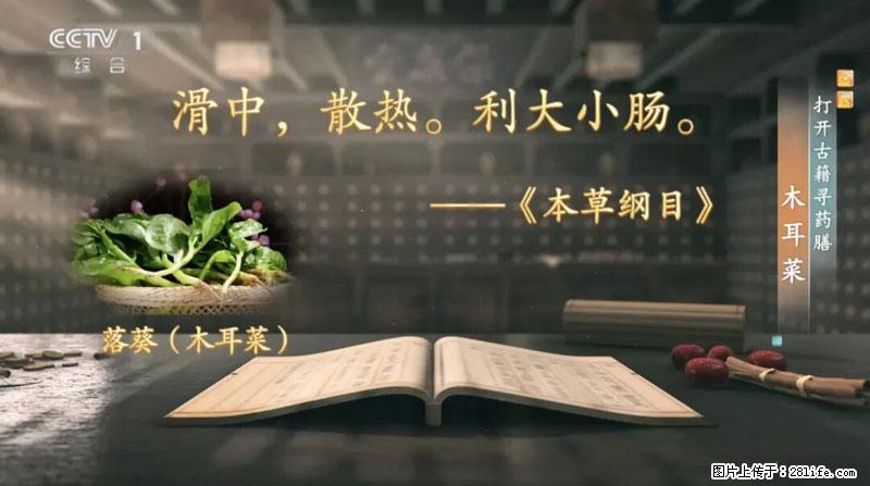 比牛奶补钙还厉害!凉血解毒、稳血糖...这菜冬天必吃,很多人却当草 - 定州生活资讯 - 定州28生活网 dingzhou.28life.com