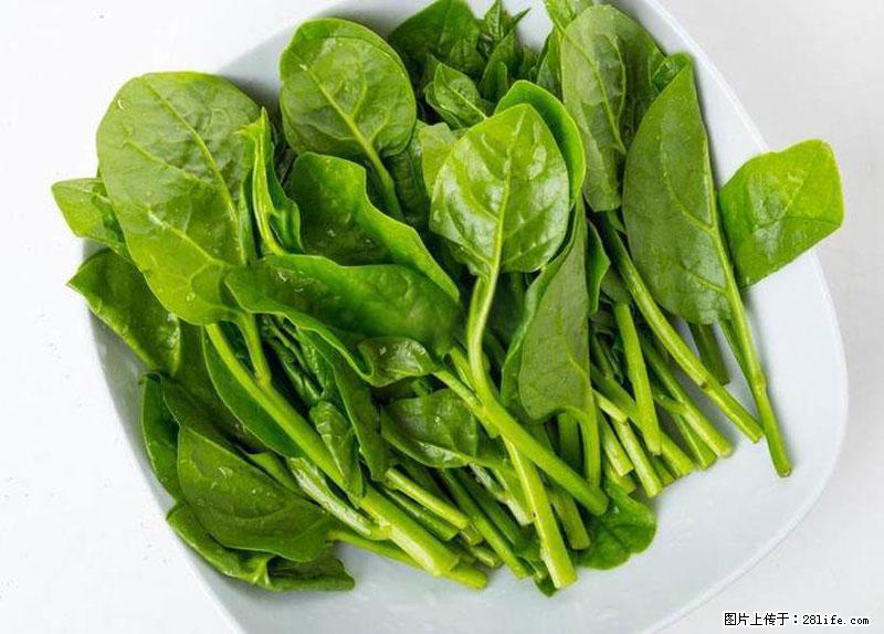 这些蔬菜是“天然钙片”，这6种被医生重点推荐 - 定州生活资讯 - 定州28生活网 dingzhou.28life.com
