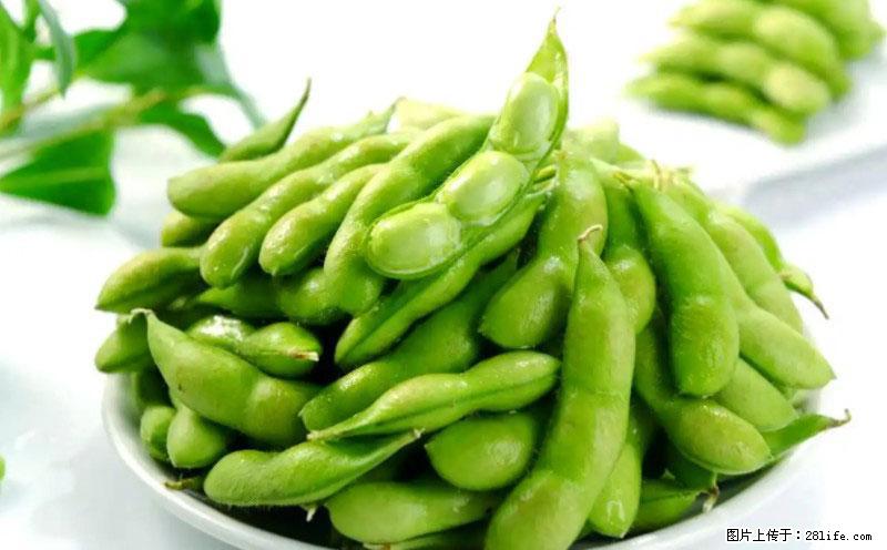 这些蔬菜是“天然钙片”，这6种被医生重点推荐 - 定州生活资讯 - 定州28生活网 dingzhou.28life.com