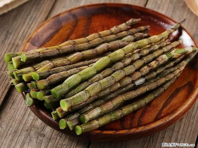 铁皮石斛的作用与功能主治 - 定州生活资讯 - 定州28生活网 dingzhou.28life.com