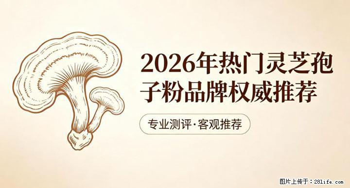 灵芝孢子粉含量越高越有效？2026 年七款热门品牌深度实测，肠胃敏感者避坑指南 - 定州生活资讯 - 定州28生活网 dingzhou.28life.com