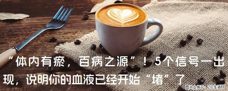 “体内有瘀,百病之源”!5个信号一出现,说明你的血液已经开始“堵”了 - 定州生活资讯 - 定州28生活网 dingzhou.28life.com
